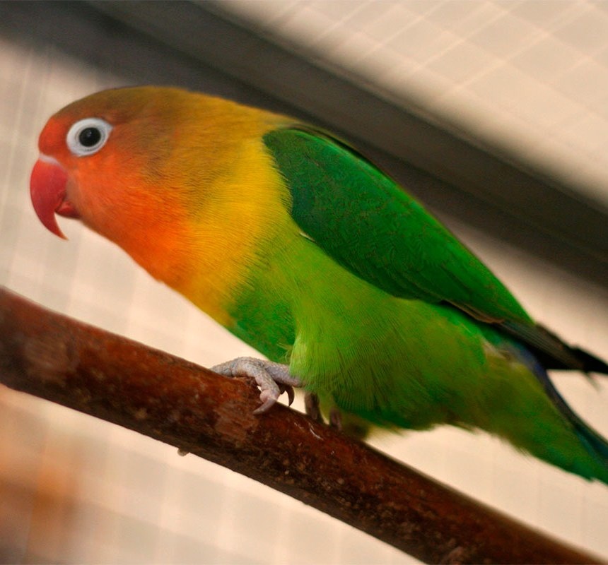 Foto 6